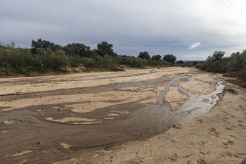 La CHT finaliza la restauración del arroyo Salchicha