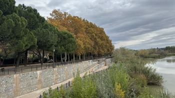 9 empresas concurren a la restauración de la ribera del Tajo