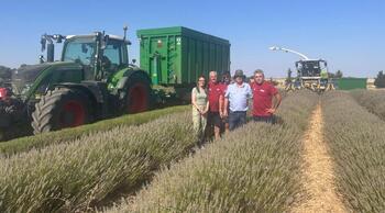 La Junta visita los campos de lavanda para conocer su estado